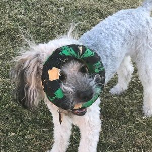 Meet your Posher, Paris